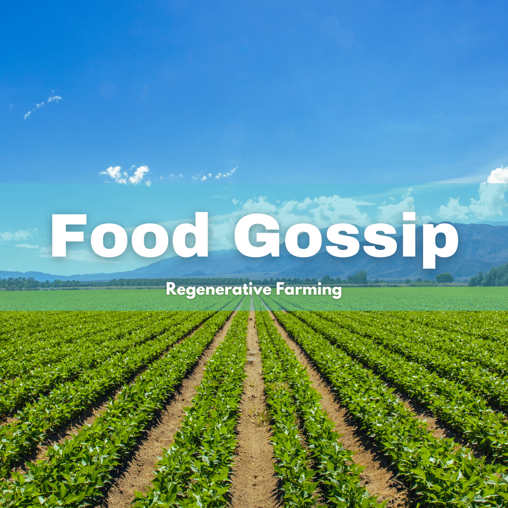Food Gossip Regenerative Farming text on a green field of rows of crops
